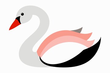 swan on the white background