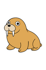 walrus on white background