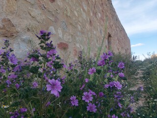 landscape, nature, outdoor, europe, travel, destination, mountain, grenn, hill, cliff, view, peace, relax, trekking