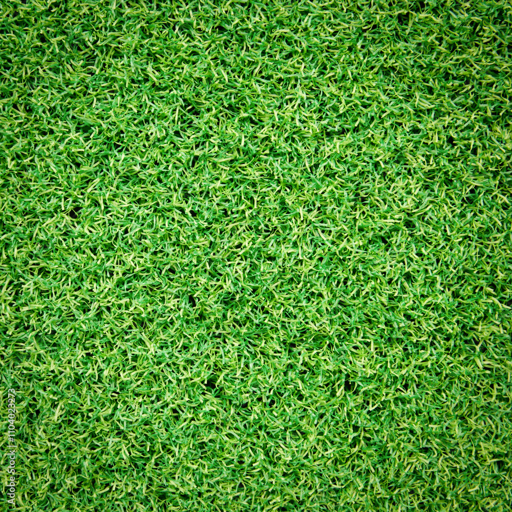 Canvas Prints artificial grass background.