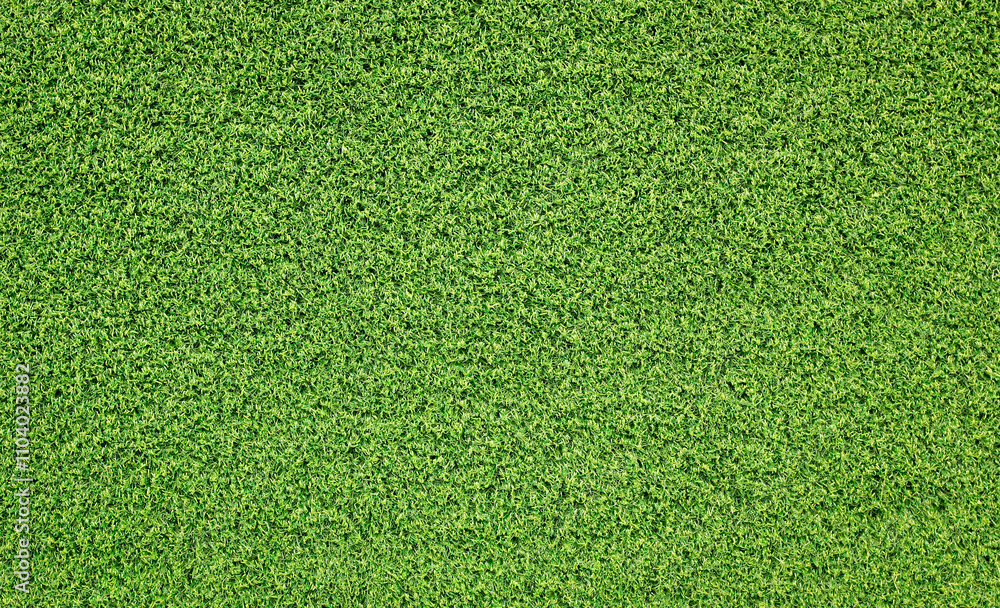 Canvas Prints artificial green grass texture background.