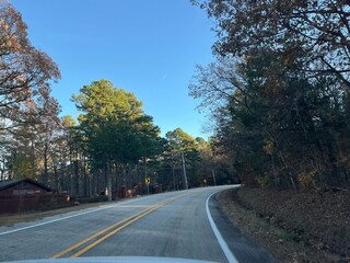 Fototapeta premium road in the forest