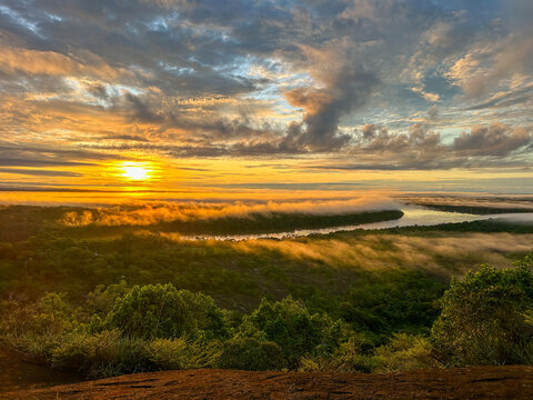 Jungle sunrise