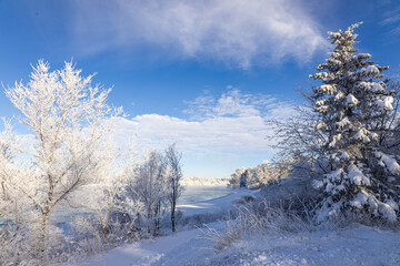 Winter Walk at Gabriel Dumont Park in Saskatoon