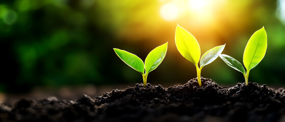 Business team planning. Business team planning sustainable profit growth with long-term strategies displayed visually