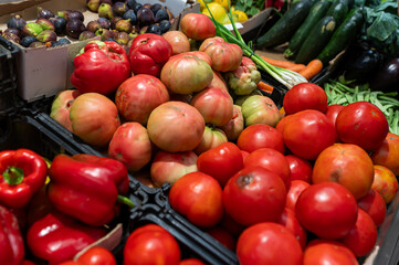 Fresh produce stand displaying vibrant fruits and vegetables at a local market in autumn