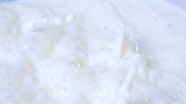 Blueberries splashing into milk in slow motion 300fps