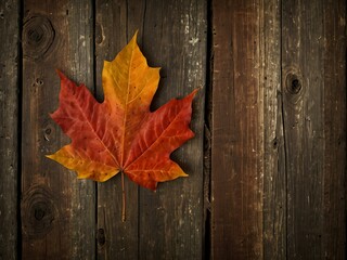 A red and orange autumn leaf on rustic wood, inviting warmth.
