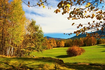 Autumn on the golf course in Celadna in Moravia in the Czech Republic.	