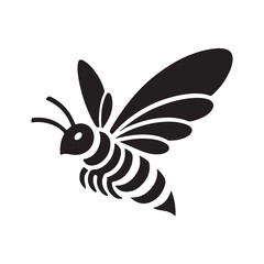 black and white butterfly