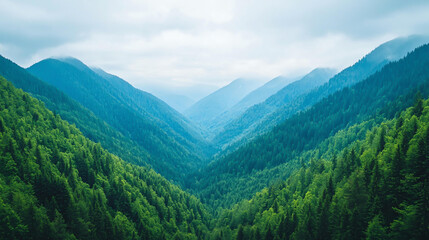 Obraz premium Landscape background breathtaking mountain valley with layered peaks and lush green forests creates serene and tranquil atmosphere. misty backdrop enhances natural beauty of this landscape