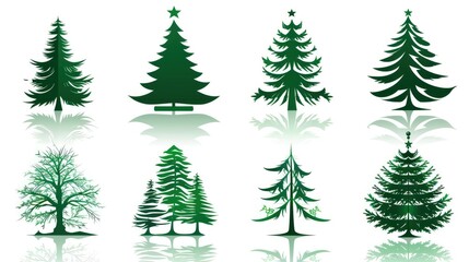 Obraz premium Christmas tree 