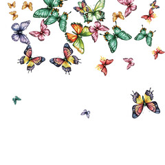 butterflies and flowers