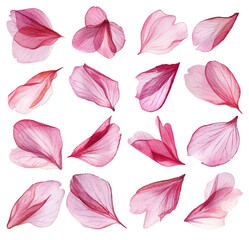 seamless pattern with leaves