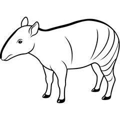 illustration of  tapir