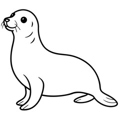 seal on white