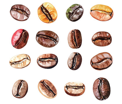 coffee beans isolated on white