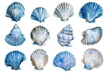 A diverse collection of watercolor seashells in shades of blue, showcasing the elegance of marine life.