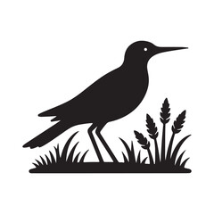illustration of a bird