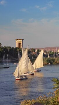 Beautiful landscape with felucca boats on Nile river in Aswan at sunset, Egypt. Vertical video
