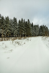 Eine winterliche Wanderung zum Bahnhof Rennsteig im verschneiten Thüringer Wald - Schmiedefeld -...