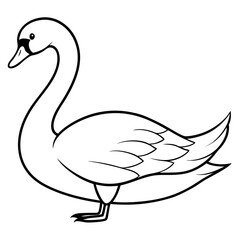 illustration of a swan