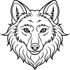 illustration of a wolf