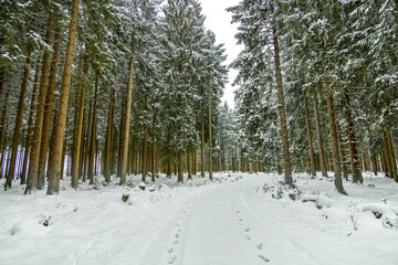Eine winterliche Wanderung zum Bahnhof Rennsteig im verschneiten Thüringer Wald - Schmiedefeld - Thüringen - Deutschland
