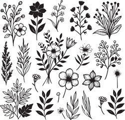 Fototapeta premium Silhouette Flower collection