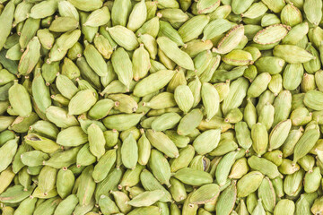Cardamon seeds close up in studio