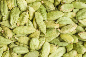 Cardamon seeds close up in studio