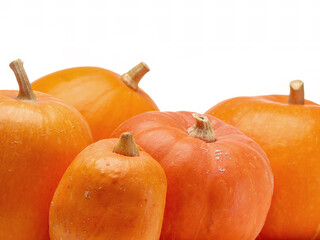 Close-Up of Fresh Orange Pumpkins Ready for Harvest