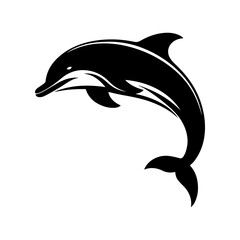 dolphin isolated on white background