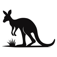 kangaroo vector illustration