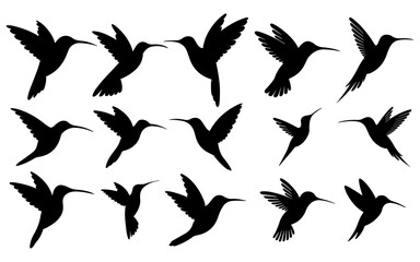 Vector flying Bird Silhouette onj white background.