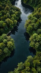 Obraz premium Aerial view of a winding river, surrounded by lush greenery, capturing the beauty of nature.