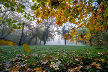 Late Autumn vibes in the park