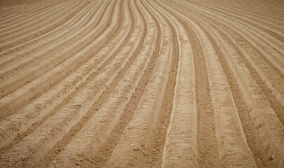 Aerial view of curved plowed field lines