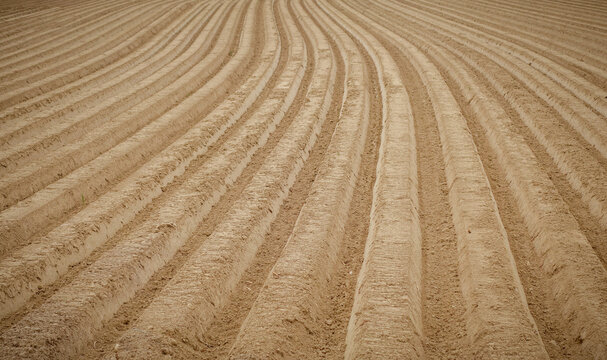 Aerial view of curved plowed field lines