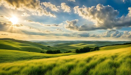 Obraz premium green field and blue sky