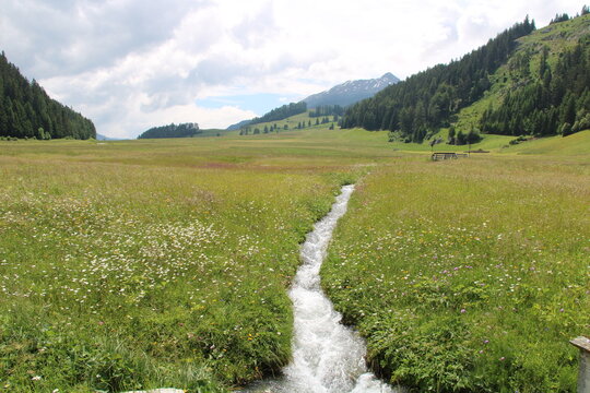 Alpine meadows and mountain streams at Reschenpass (Reschen Pass) - Cycling the transalpine route Via Claudia Augusta