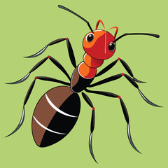 ant vector
