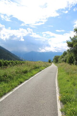 Etschtal Valley, Etschtalradweg (Etschtal Cycling Route), Apple orchard - Cycling the transalpine...