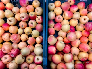 fresh farm organic apples in a crate for sale in a store