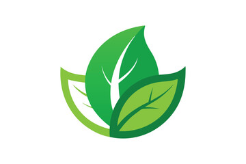Naklejka premium Eco icon green leaf vector art illustration.