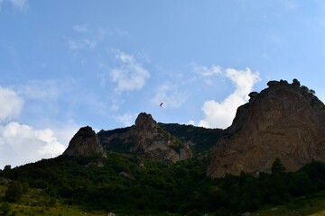 landscape in the morning