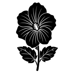 black and white flower