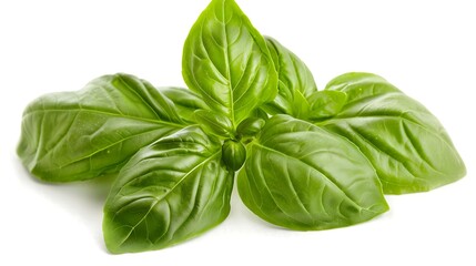 Italian Pesto Isolated on a White Background, Showcasing the Vibrant Green Sauce Made from Fresh Basil, Garlic, Olive Oil, and Parmesan
