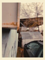 A rusty hook transformed into a piece of art, its weathered texture and unique shape evoking creativity and industrial charm. A perfect fusion of raw materials and artistic expression.