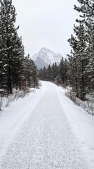 Winter pathway winding through snow covered forest in a mountainous region